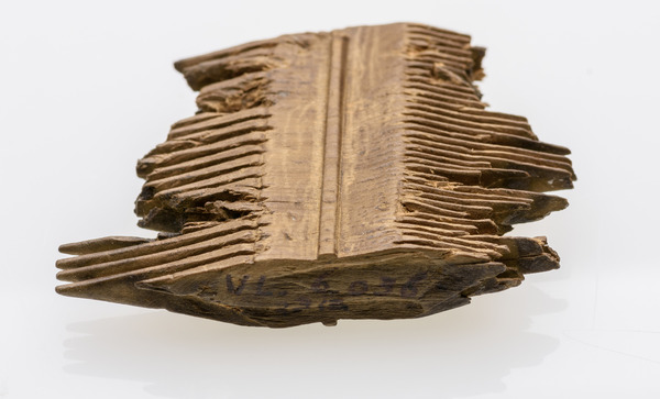 250418 Oerplank